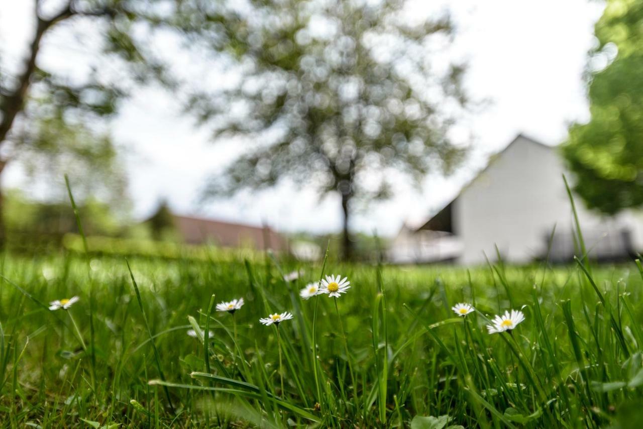 Nengshof Ferienwohnung Wildrose Wißmannsdorf Εξωτερικό φωτογραφία